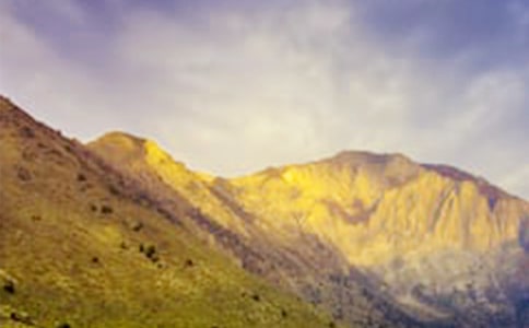 ��д��ɽ����������