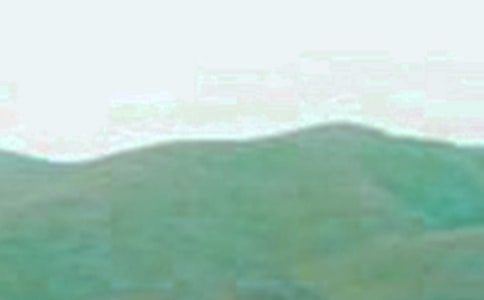 ��ɽ���ŮУ���Ź�÷�ĵ���ᣨ��ѡ5ƪ��