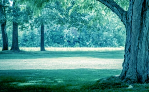 �����һ���ɳ�����־˵˵ �����һ��ɳ��ز�