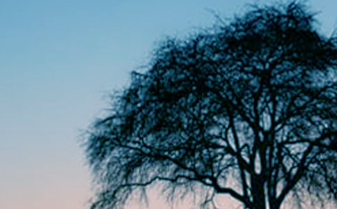 ��д������ʫ�䣨ͨ��75�䣩