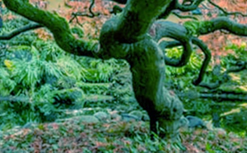 �����һ���ɳ�����־˵˵