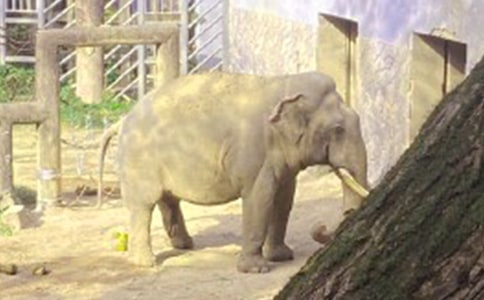 ������������