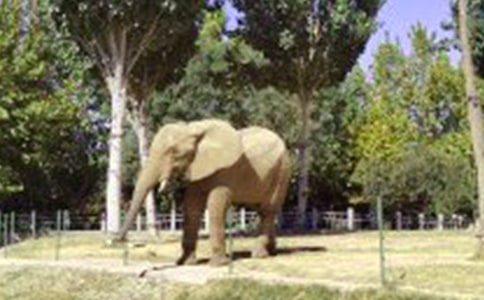 �������������(����7ƪ)