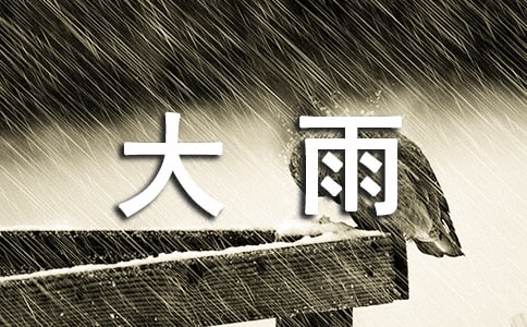 经典形容大雨的句子18条