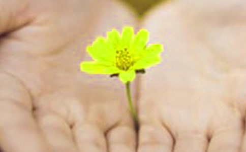 道歉个性朋友圈说说句子(精选60句)