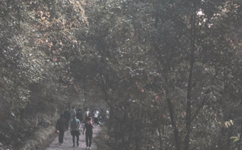 工会登山活动方案