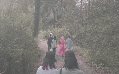 �����ɽ�����(ͨ��15ƪ)