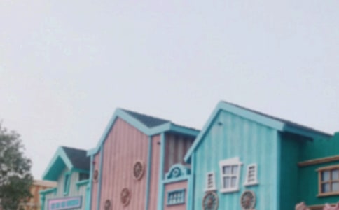 迪士尼作文300字(通用)