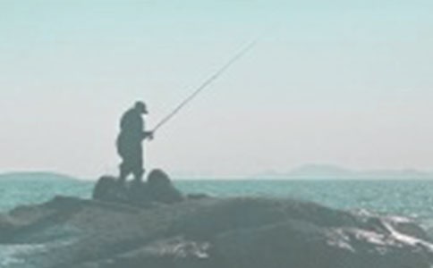 钓鱼的启示读后感精选15篇