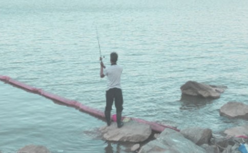 ��ֹ����ľ�ʾ����