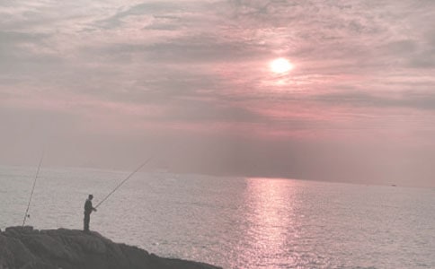 【热】读《钓鱼的启示》有感15篇