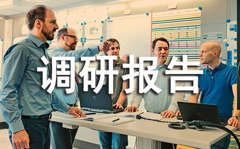 2018年乡镇精准扶贫专题调研报告,乡镇精准扶贫工作汇报