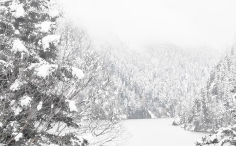 �������ձ�������С��������1200������