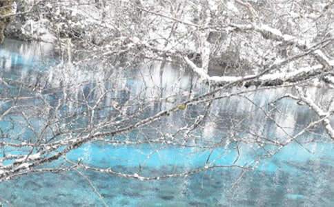 冬季安全主题班会记录