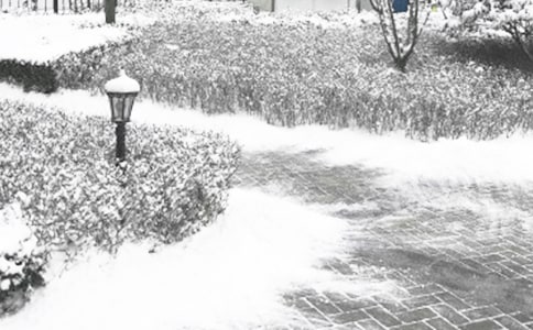 预防冬季传染病横幅标语