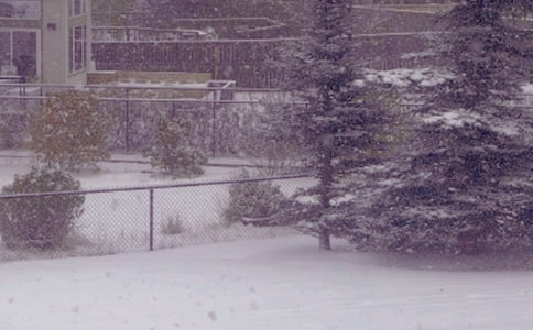 ����ů���ľ���