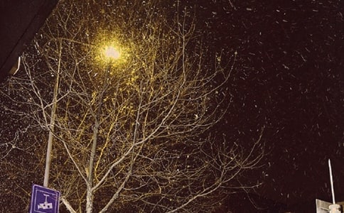 �����һ��ѩ��˵˵(15ƪ)