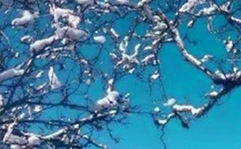 冬天温暖人心的句子