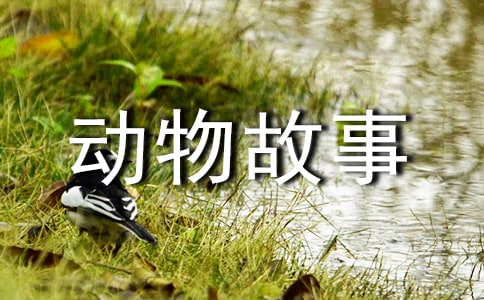 �����ٶ�����¼��������