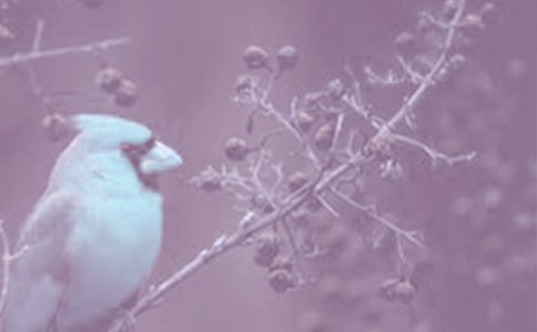 2021�궯ֲ�����רҵ��ѧ���а�