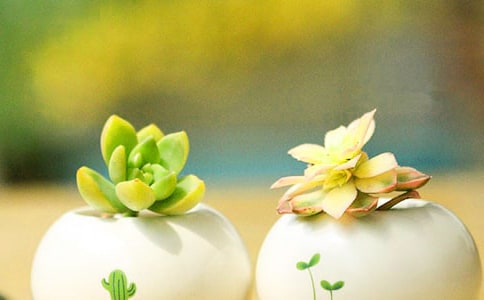 �����������˵˵