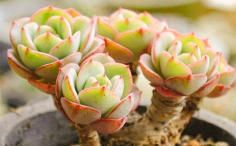 �����������˵˵13ƪ