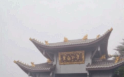 ��üɽ�����������