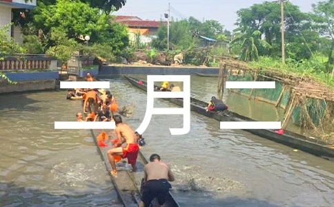 ���¶�ף����