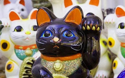 ף�����ֲ��׵ľ���