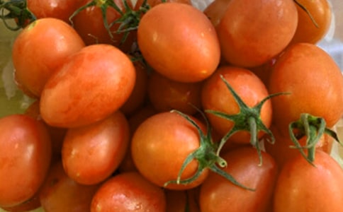 ���ѳ���������300��6ƪ