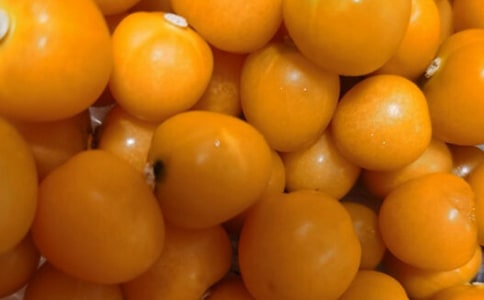 《番茄太阳》读后感