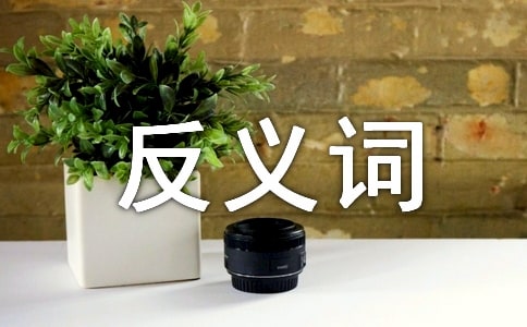 娴熟的反义词是什么