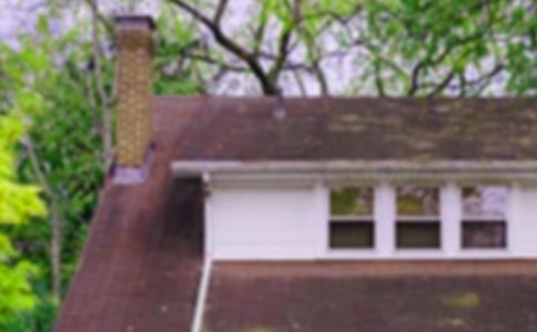 《小狗的小房子》读后感