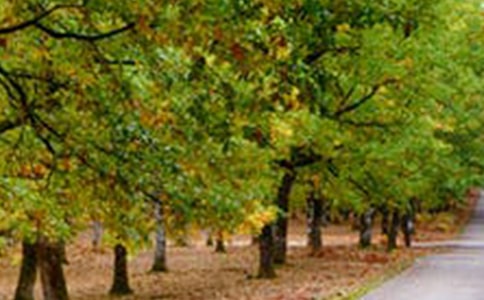 �羰��������38��