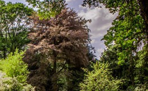 2023��羰�������Ӽ���95��