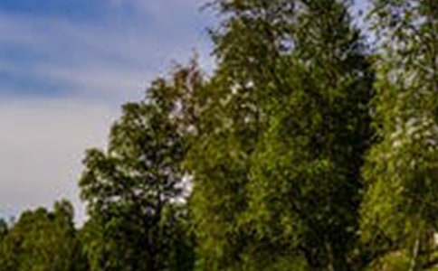 �羰�������ӻ���60��