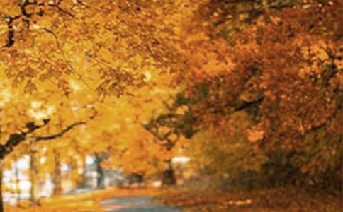 2023�������羰���ӽ���38��