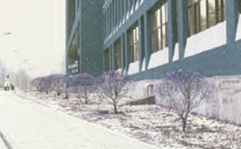 [����]��ѩ������300��