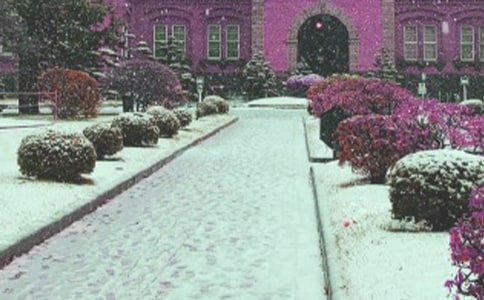 ��ѩ������300��[��ȫ4ƪ]