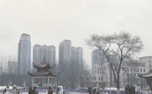 风雪的作文300字