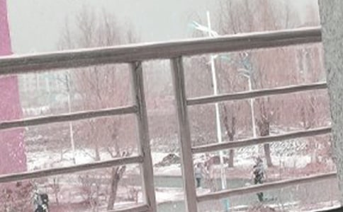 ��ѩ������300�֡�ͨ��4ƪ��