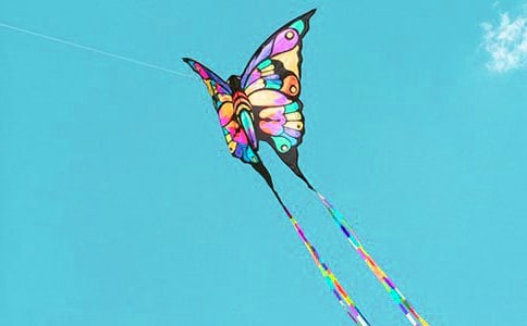 �ŷ��ݵ�˵˵