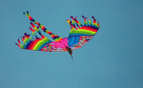 �ŷ��ݻ����