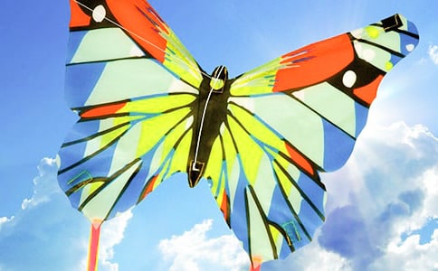 ��ѡ���ֵķ�������300����ƪ