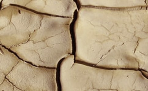 ũҵ�ɺ������������������