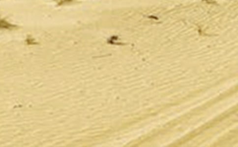 �������ϸɺ�������С��������1200������