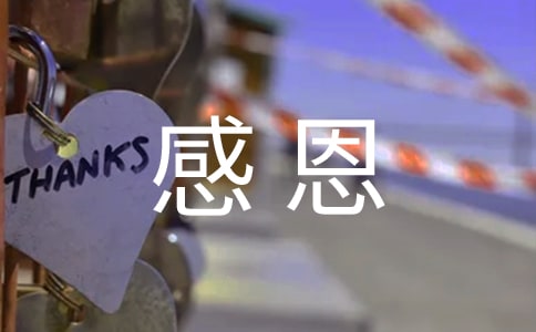 感恩的心主题班会(15篇)