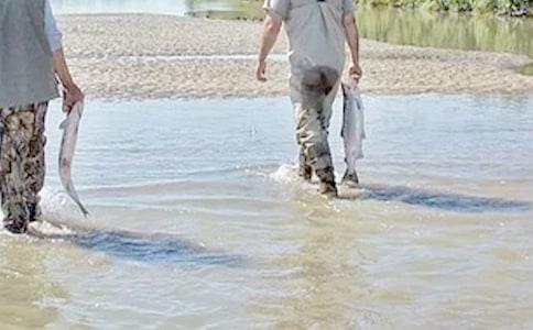 �������ѵ�ף������(��ϵ������)