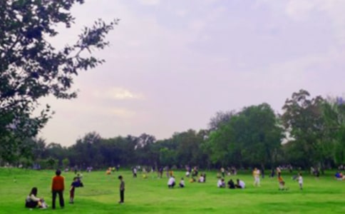 公园散步说说(精选270句)