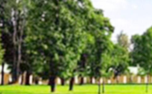 ���⹫԰��������